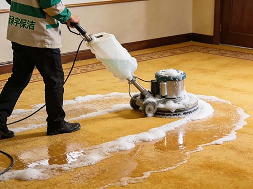 地毯清洗对象